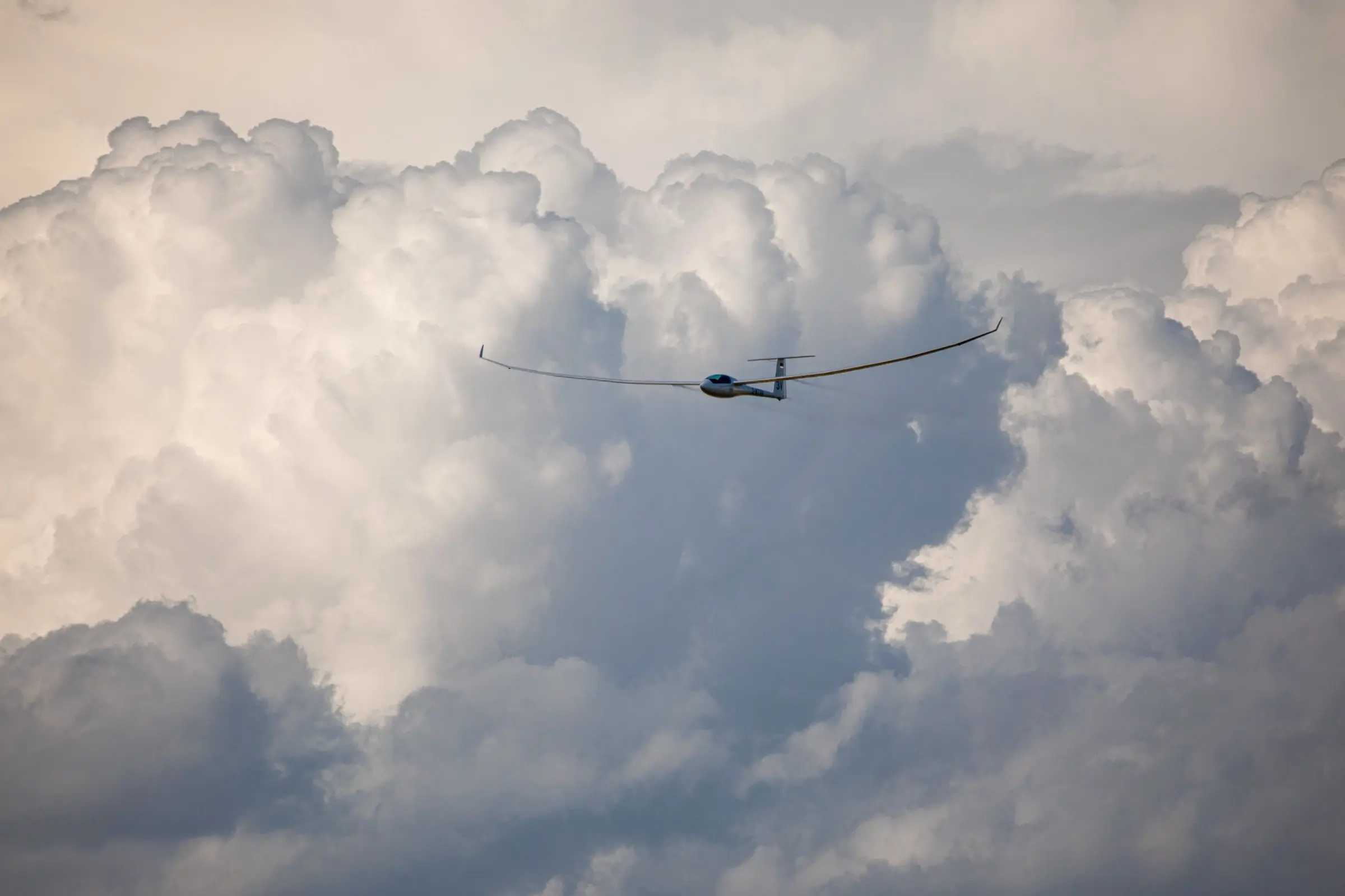 A sailplane with long, upswept wings flying in front of towering cumulus clouds.